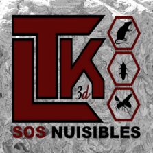 LTK 3D dératisation, rats dans la cuisine