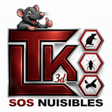 souris dans les murs
